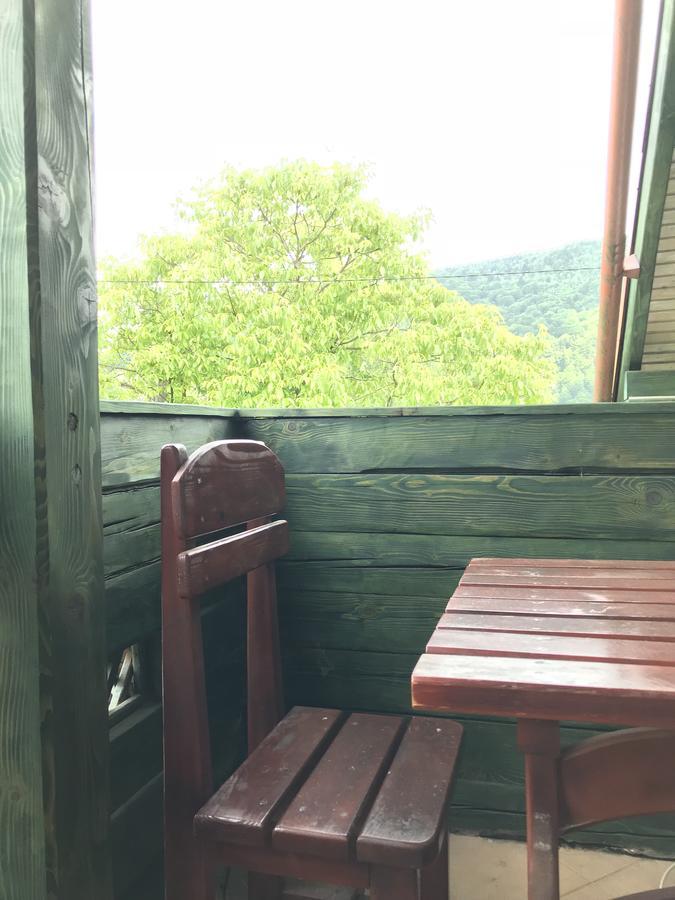 Cottage Shchaslyvyi Yaremche Luaran gambar